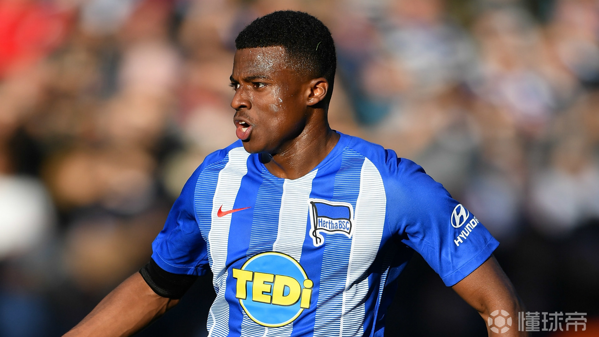 包含荷甲赛后再迎强敌，纽约尼克斯官宣签约，主帅态度——压力陡增，心理建设被强调的词条